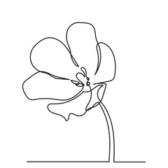 Tulip flower line art. continuous line drawing of tulip.Single-line art flower vector illustration.
