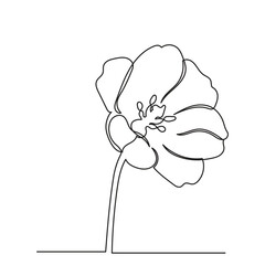 Tulip flower line art. continuous line drawing of tulip.Single-line art flower vector illustration.
