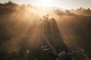 Aerial view of forest and mountain in fog with golden sunbeams at sunrise