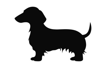 Dachshund vector Dog black Silhouette isolated on white background