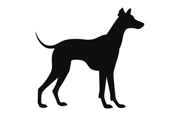 A Greyhound Dog black Silhouette vector isolated on a white background