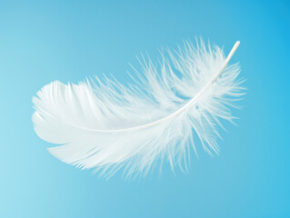 Soft, delicate isolated white feather floating in the air