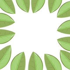 green leaves frame on the white background vector illustration
