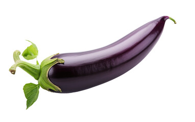Celebrating the Versatility of Eggplant in Culinary Delights on White or PNG Transparent Background