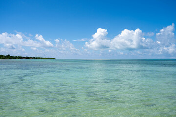 Fototapeta premium 沖縄の海