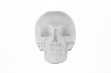 plaster human skull isolated on white background