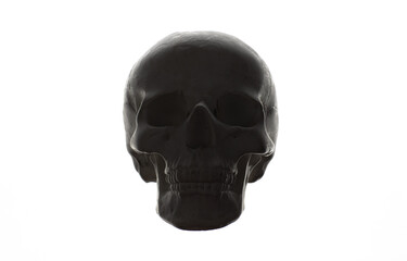 plaster human skull isolated on white background