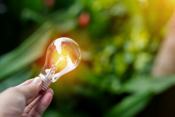 light bulbs green on background