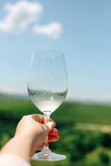 Twisting glass of white wine, vineyard in the background