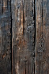 Brown wood texture. Abstract background