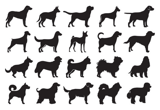 set of black silhouette of a dog breeds  isolated on white background , collection, vector eps	