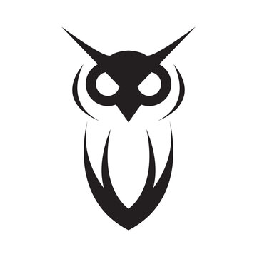 cute owl logo design vector image