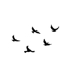 Flying Bird Silhouette