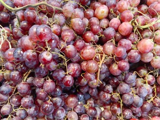 pile of fresh grapes in a basket
