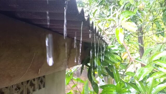 Rainwater Flows Freely From The Roof Into The Paralon Pipe During The Day