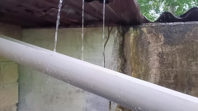 Rainwater Flows Freely From The Roof Into The Paralon Pipe During The Day