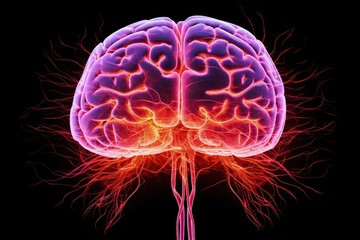 MRI image of cerebral blood vessels and cerebral vascular disease or hemorrhagic stroke Brain stroke x ray