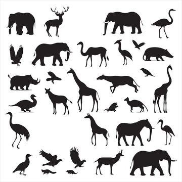 Untamed Elegance: Captivating Wild Animals Silhouette Set in Detailed Illustrations - Wildlife Silhouette - Animals Vector
