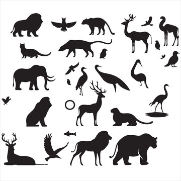 Majestic Wildlife Silhouette Collection: Diverse Array of Wild Animals in Elegant Shadows - Wildlife Silhouette - Animals Vector
