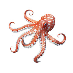 Obraz premium Marine Elegance: Realistic Red Octopus