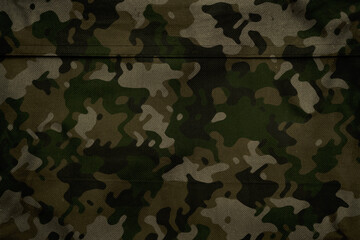green and brown forest camouflage pattern background © eric