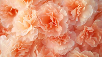 A Close-Up Photo Revealing the Delicate Petals and Intricate Beauty of a Rose Pattern in Soft Peach Tones