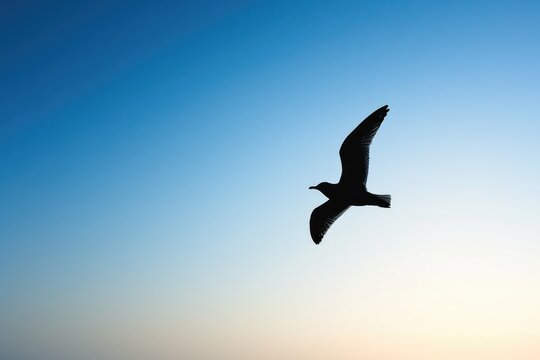 A minimalist silhouette of a bird in flight against a clear, blue sky