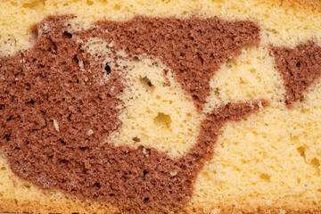 Two-color sponge cake texture. Macro shot of cake cut.