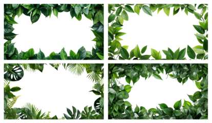 Set of frames made up of fresh green leaves, cut out