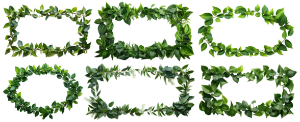 Set of frames made up of fresh green leaves, cut out