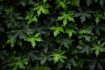 foliage texture background pattern