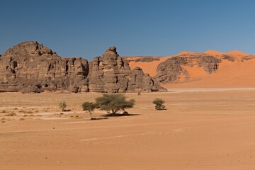 Fototapeta na wymiar View of Dunes of Ouan Zaoutan, sand dunes in Tadrart Rouge, Tassili n Ajjer National Park. Sahara, Algeria, Africa.