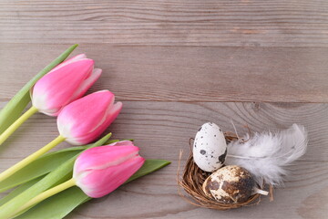 Pink tulips and easter nest on wooden background. Holiday easter card.