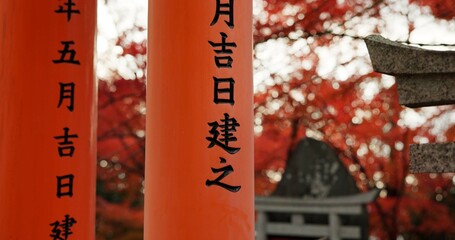 Architecture, torii gates and pillars at temple for religion, travel and traditional landmark for...