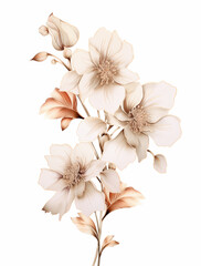 fleurs pastel