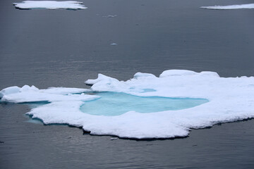 glace flottante sur la mer du grand nord © helenedevun