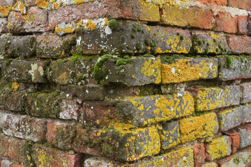 Wall brick vision detail landscape old texture