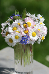 Beautiful spring bouquet of Daisy flowers, Daisies, with Forget Me Not flowers in a glas vase in bright sunshine with a green background in the garden.
