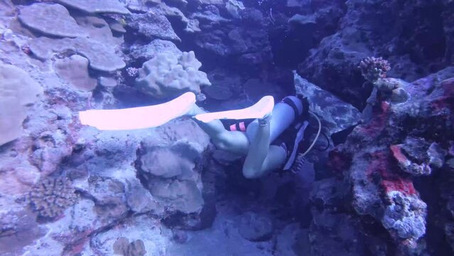 underwater view following a female woman scuba diver swimming wearing diving gear equipment of bcd regulator fin and mask going through a gap cave underneath coral rock at the depth deep ocean sea