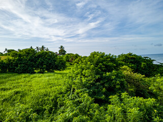 The view by the sea is very beautiful, there are green trees