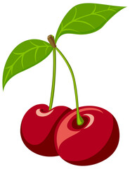 Ripe cherry and bunches of cherry, tasty healthy red berries with green leaves flavored delicious dessert Illustration.