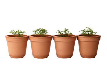Beautiful Small Plant Pots