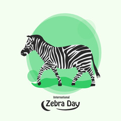 Fototapeta na wymiar International Zebra Day vector, illustration. Flat design. Flyer design.