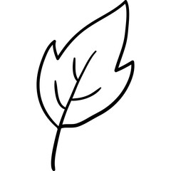 boho leaf doodle elements