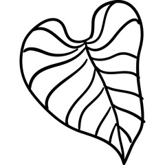 boho leaf doodle elements