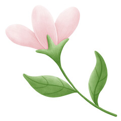 easter flower with leafs