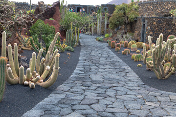 The Jardín de Cactus is a cactus and succulent garden on the northern of Guatiza on the northeast...