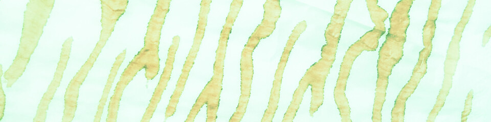 Geometric Zebra. Modern Zebra Skin. White