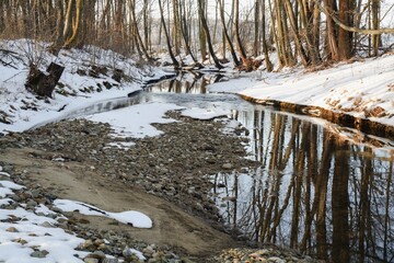 Frozen riverbed. Juhyne. Moravia. Czech Republic.
