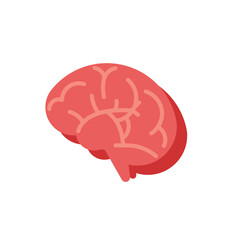 The human brain vector icon, Mind symbol.
